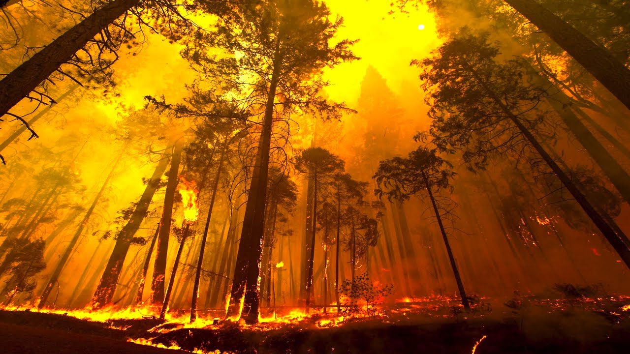 Μεγάλη πυρκαγιά στην Ηλεία – Απειλούνται σπίτια (φωτό) (upd)