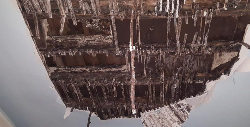 Κατέρρευσε ταβάνι στο δημοτικό ωδείο στην Πάτρα – Από θαύμα δεν υπάρχουν θύματα (φωτό)
