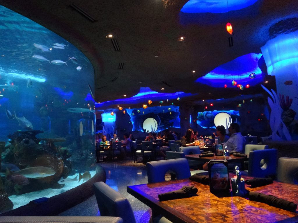 Το «Εστιατόριο – Ενυδρείο» που συναρπάζει κάθε λάτρη του υποθαλάσσιου κόσμου (φωτό)