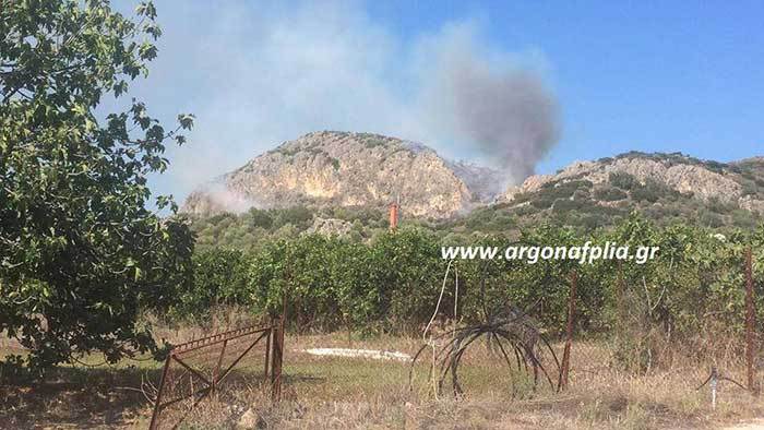 Ναύπλιο: Επικίνδυνη φωτιά σε πεδίο βολής στα Πυργιώτικα (φωτό)