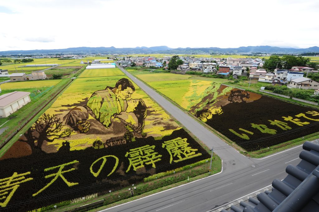 Χωράφια ρυζιού – έργα τέχνης… μόνο στην Ιαπωνία (φωτό, βίντεο)