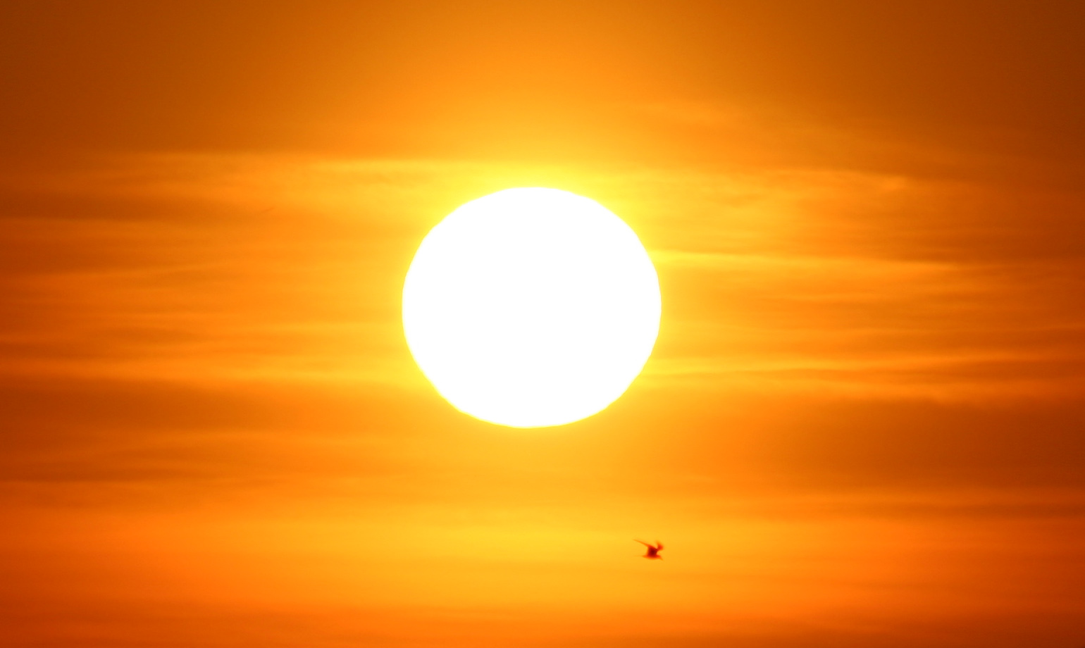 Βίντεο: Τι θα συμβεί στην ανθρωπότητα αν εξαφανιστεί ο ήλιος ξαφνικά;