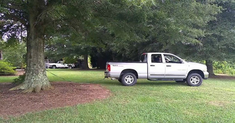 Βίντεο: Προσπαθούν να ξεριζώσουν δέντρο με φορτηγάκι – Δείτε τι γίνεται στη συνέχεια!