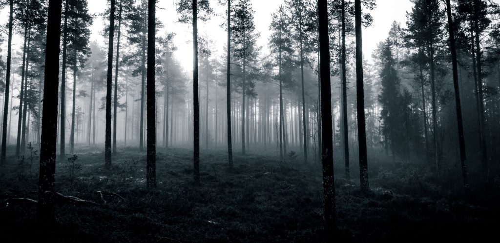 Βίντεο: Αυτά είναι τα πιο τρομακτικά και στοιχειωμένα δάση του κόσμου