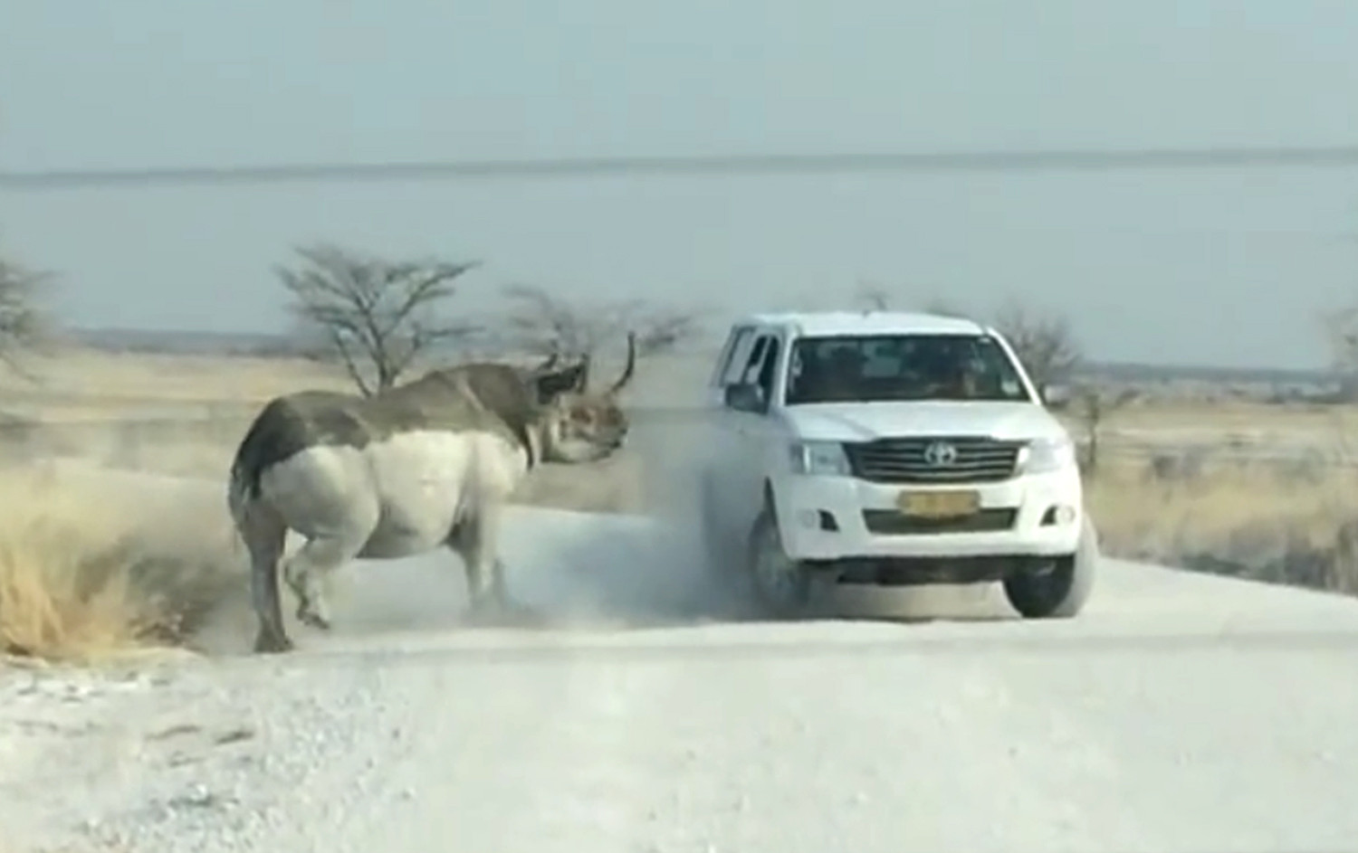 Βίντεο: Θυμωμένος ρινόκερος επιτίθεται σε αυτοκίνητο με τουρίστες