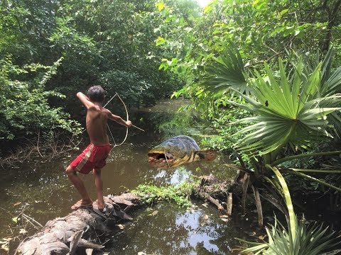 Βίντεο: Μικρό αγόρι χτυπάει κροκόδειλο μέσα σε μια λίμνη με ένα τόξο