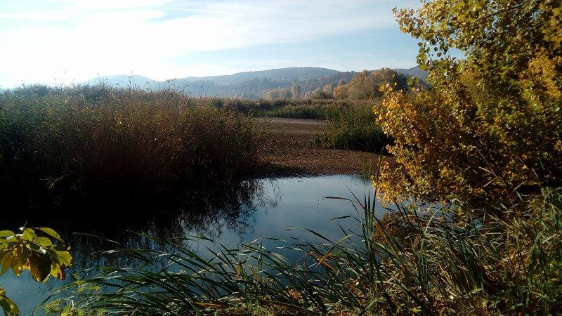 Καστοριά: Οι επιστήμονες καθησυχάζουν για τη λίμνη καθώς παρατηρείται ξηρασία (φωτό)