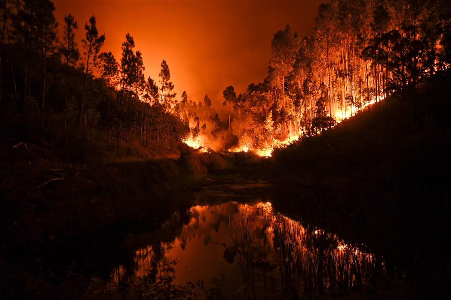 Πορτογαλία: 45 άνθρωποι έχουν χάσει τις ζωές τους από τις καταστροφικές πυρκαγιές