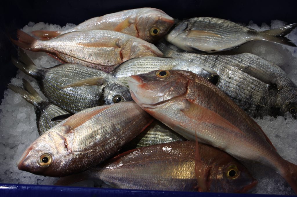 Δεκάδες κιλά ψάρια κατασχέθηκαν στην ιχθυόσκαλα Νέας Μηχανιώνας