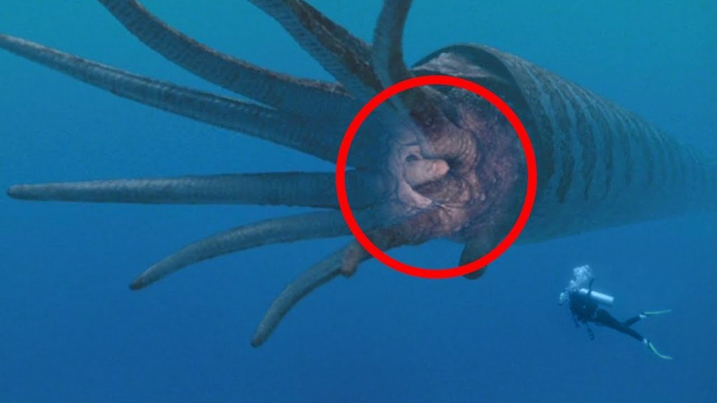 Βίντεο: Οι 5 πιο μυστηριώδεις υποβρύχιοι ήχοι που ακούστηκαν ποτέ!