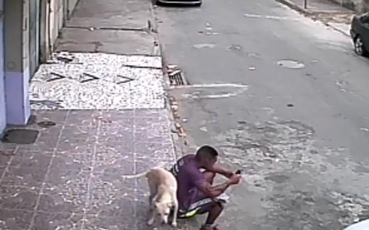 Βίντεο: Σκύλος «ανακουφίζεται» στην πλάτη ανυποψίαστου περαστικού