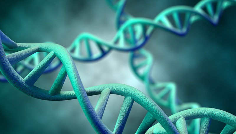 Τεχνική επεξεργασίας DNA δίνει την δυνατότητα να εξαλειφθούν θανατηφόρες κληρονομικές ασθένειες