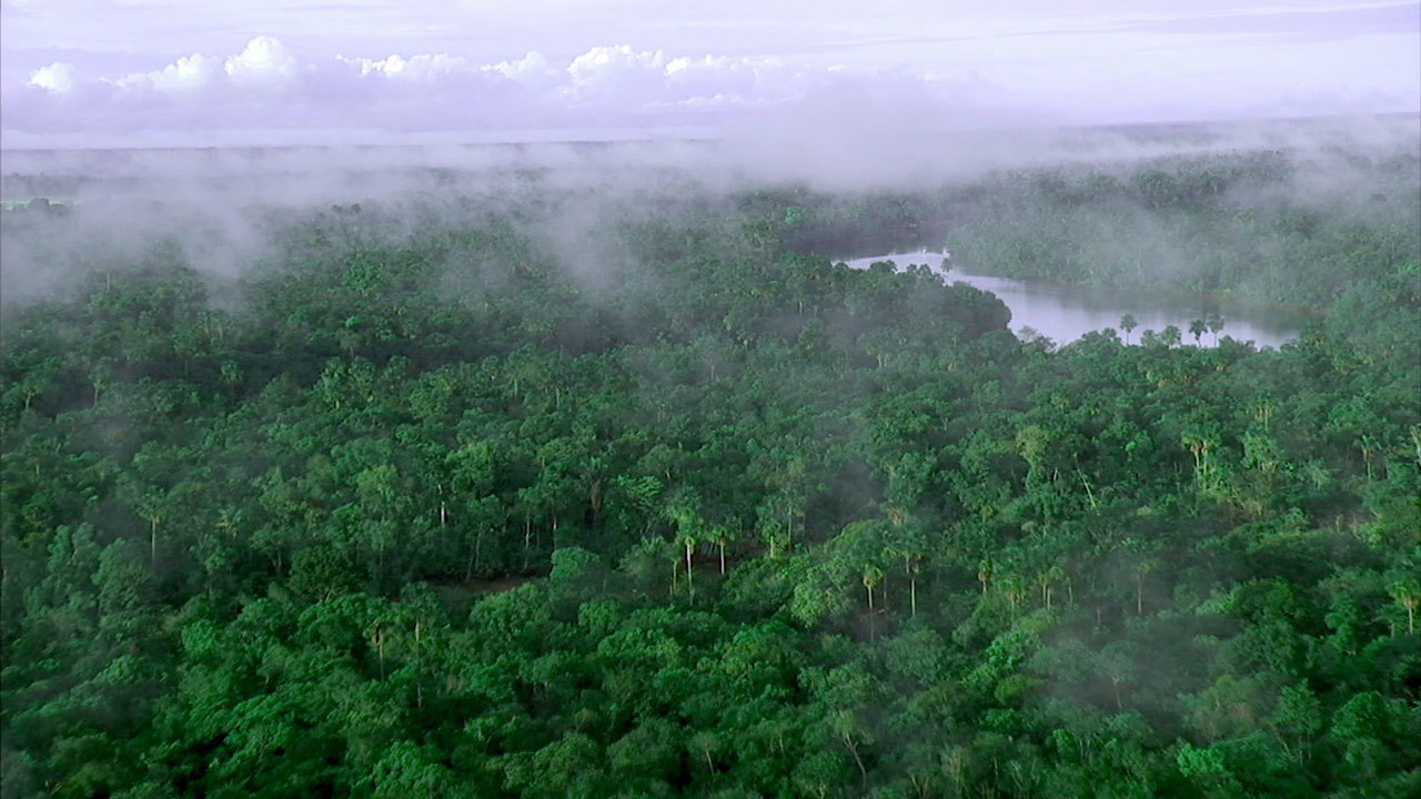 Πυραμίδες του Αμαζονίου: Ένας αρχαίος πολιτισμός χαμένος στο χρόνο (φωτό, βίντεο)