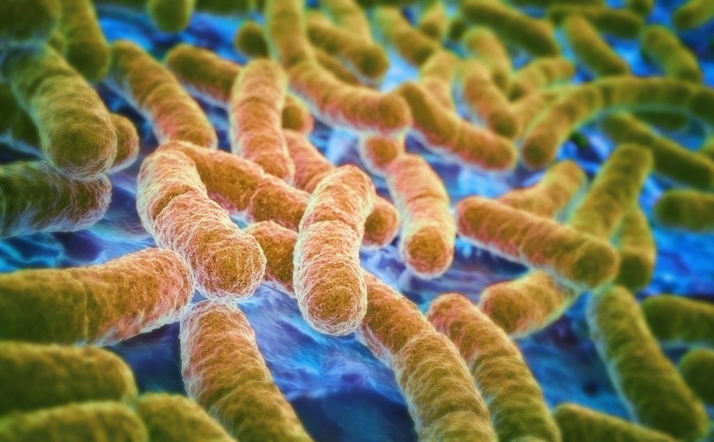Το μπάνιο σας αποτελεί «άντρο» βλαβερών μικροβίων!