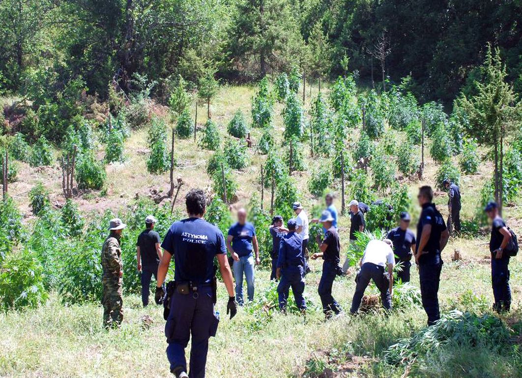 Η ΕΕ «καίει» την κυβέρνηση Ε.Ράμα: «Η διακίνηση των ναρκωτικών από την Αλβανία γίνεται με την βοήθεια του κράτους»!