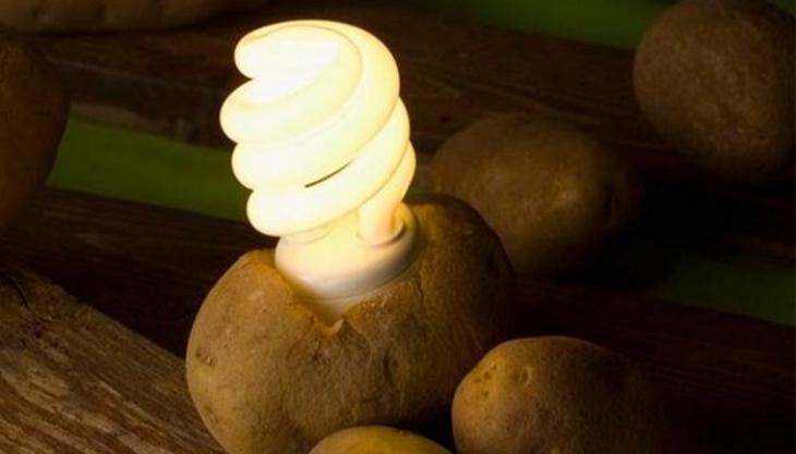 Απίστευτο κόλπο: Δείτε πως με μια πατάτα μπορείτε να έχετε δωρεάν φως για ένα μήνα! (vid)