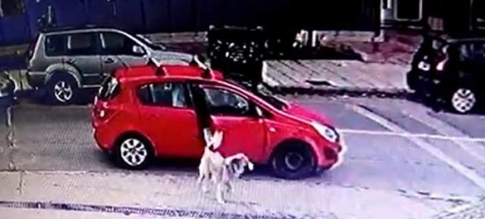 Θεσσαλονίκη: Κάμερα κατέγραψε ασυνείδητη να παρατάει την σκύλο της έξω από πρατήριο υγρών καυσίμων! (βίντεο)