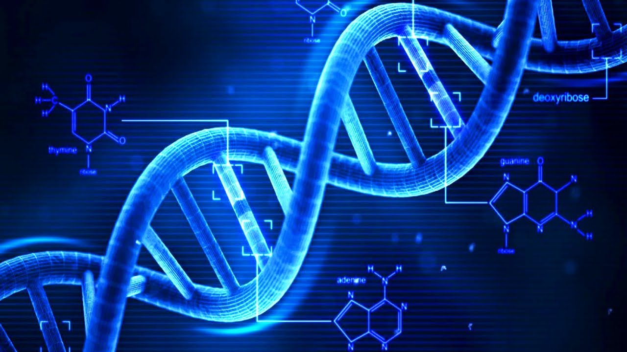 Το γενετικό αλφάβητο μεγάλωσε κατά 50%: Έφτιαξαν βακτήριο με έξι «γράμματα» στο DNA