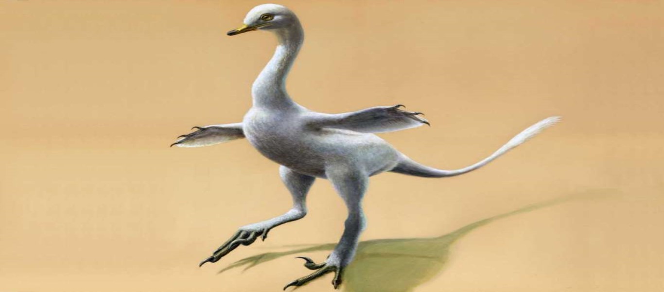 Ανακαλύφθηκε ο πρώτος… αμφίβιος σαρκοφάγος δεινόσαυρος! (φωτό)