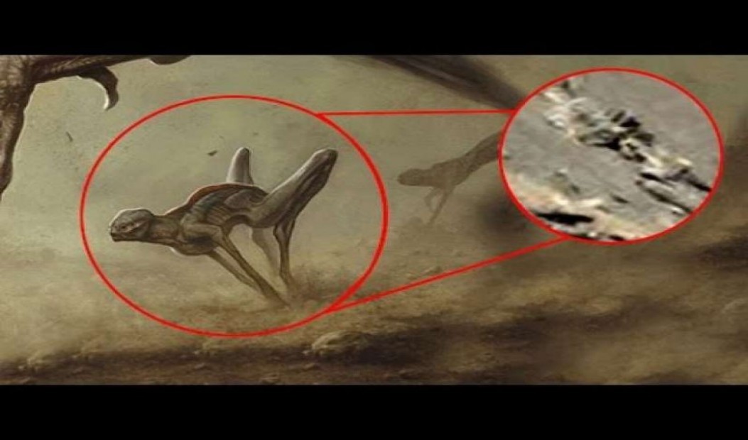 Βίντεο: 5 «εξωγήινα είδη» που έπιασε η κάμερα στον Άρη!