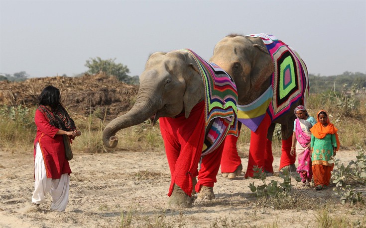 Γιγάντιες πιτζάμες για ελέφαντες στην Ινδία (φωτό)