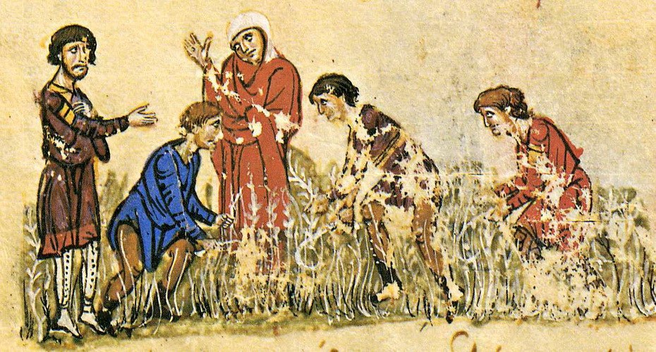 Θερισμός. Μικρογραφία σε βυζαντινό χειρόγραφο.