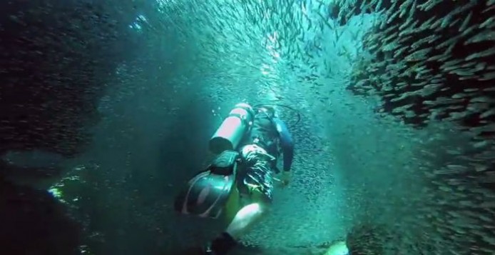 Κολυμπώντας με «ένα εκατομμύριο ψάρια» στον βυθό του Γκραντ Κέιμαν (βίντεο)