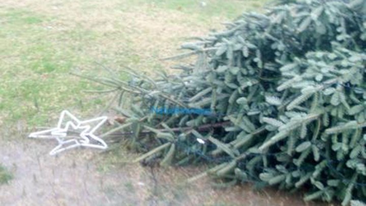 Ξέφυγε η κατάσταση: Επιδρομές με αλυσοπρίονα – Κόβουν Χριστουγεννιάτικα δέντρα και βανδαλίζουν φάτνες (βίντεο)