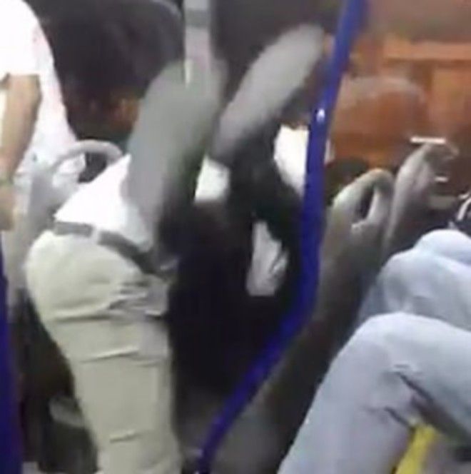 Άγριο ξύλο σε λεωφορείο: Οδηγός γρονθοκοπεί επιβάτη που χτυπούσε συνεχώς το κουδούνι (βίντεο)