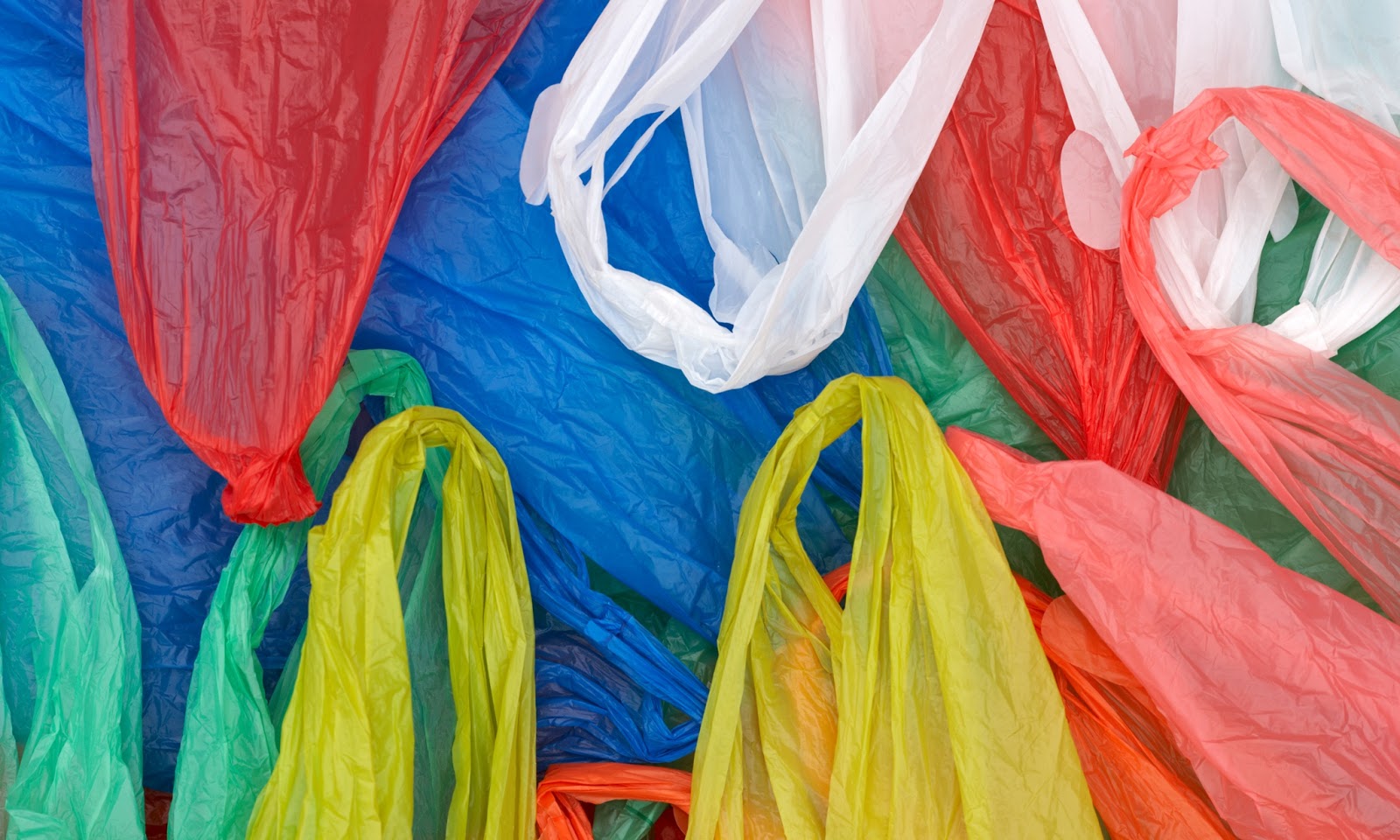 Τι προκαλούν στο οικοσύστημα οι πλαστικές σακούλες;