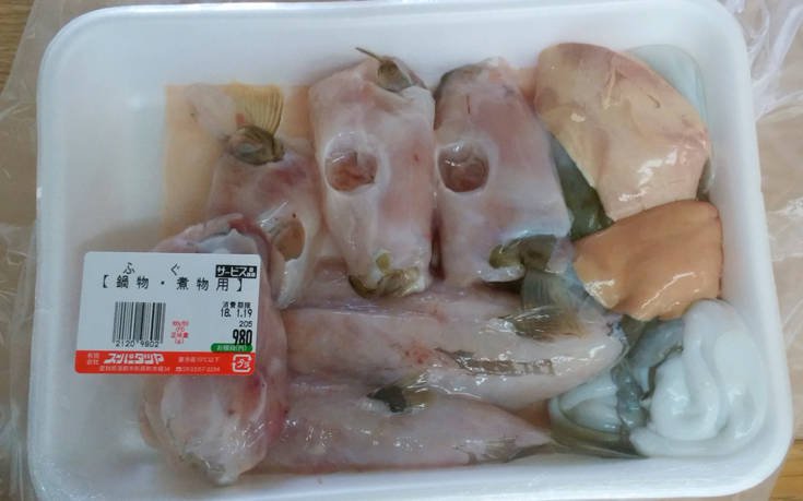 Ιαπωνία: Πούλησαν δηλητηριώδες ψάρι καταλάθος – Δεν υπάρχει αντίδοτο αν καταναλωθεί (φωτό)