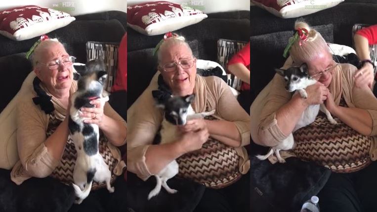 Βίντεο: Γιαγιά βάζει τα κλάματα από συγκίνηση όταν τα εγγόνια της της έκαναν δώρο ένα κουτάβι!