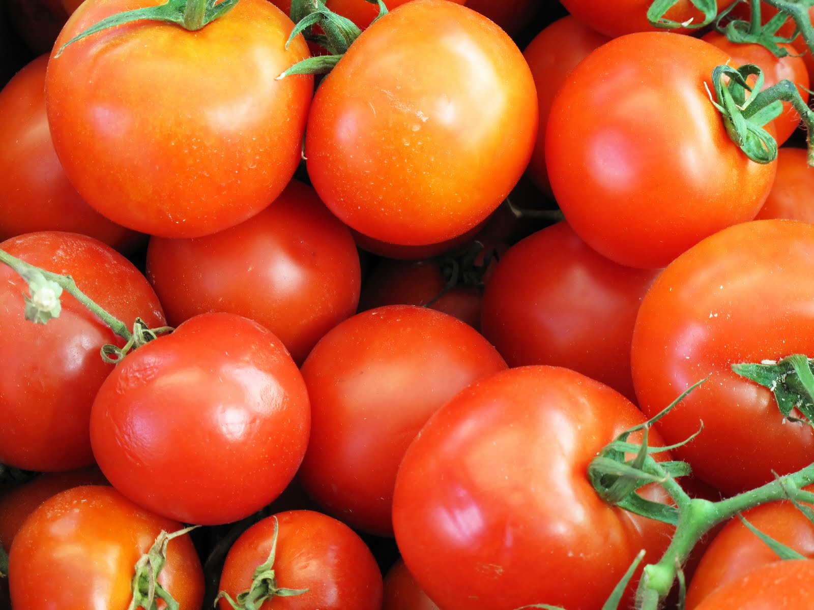 Η Τουρκία παρουσιάζει ντομάτες ως «δικής της παραγωγής» ενώ είναι άλλων χωρών