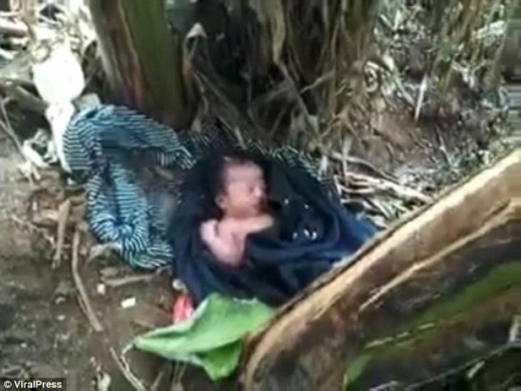 Απίστευτο: Μωρό βρέθηκε κάτω από δέντρο τυλιγμένο με κουβέρτα (βίντεο)