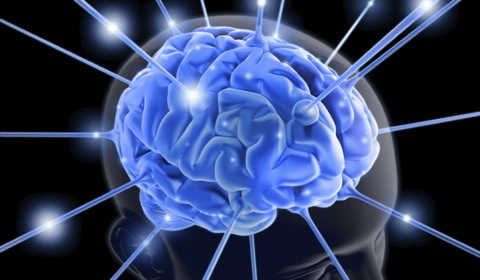 Επιστήμονες αποκαλύπτουν: 5 τρόποι για να «φρενάρεις» τη γήρανση του εγκεφάλου