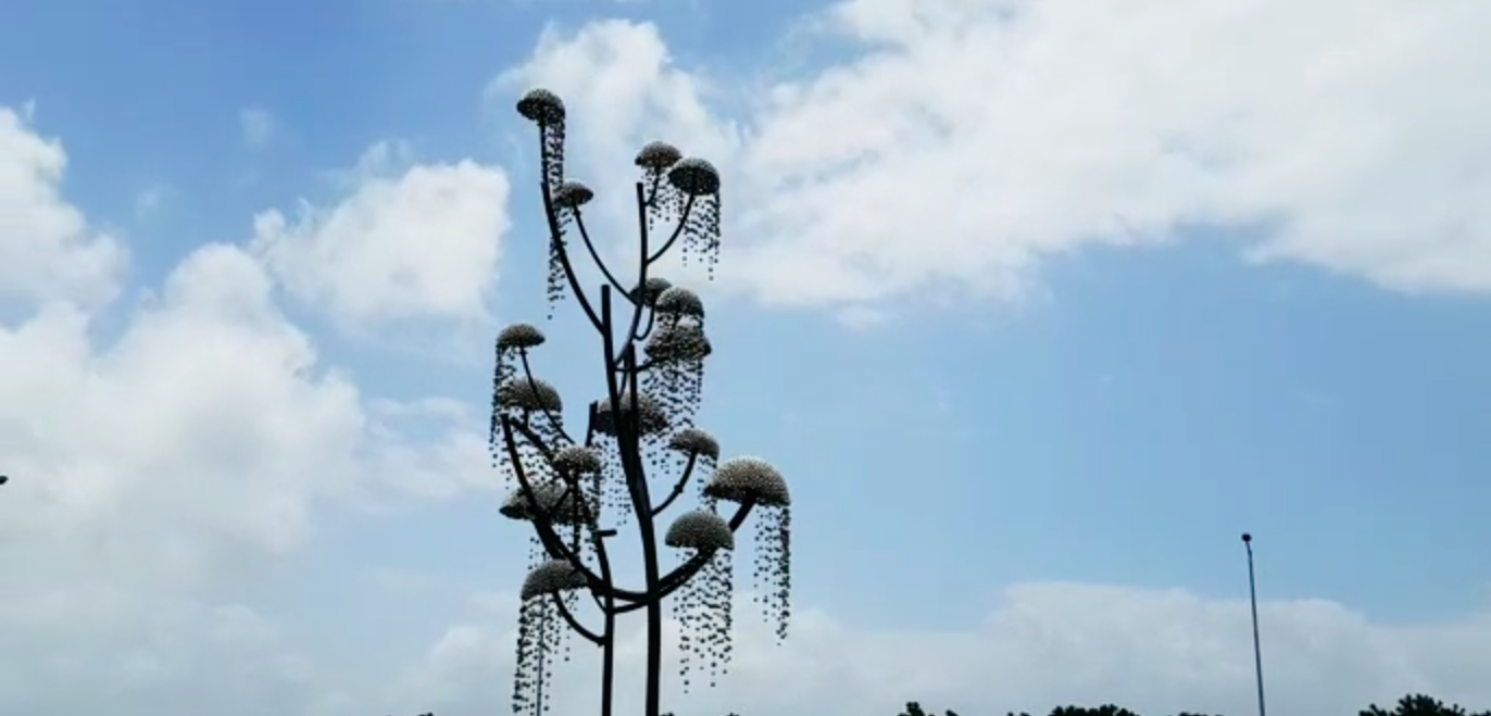 Το «δέντρο» στην Ινδία που αλλάζει ανάλογα με τον καιρό (βίντεο)