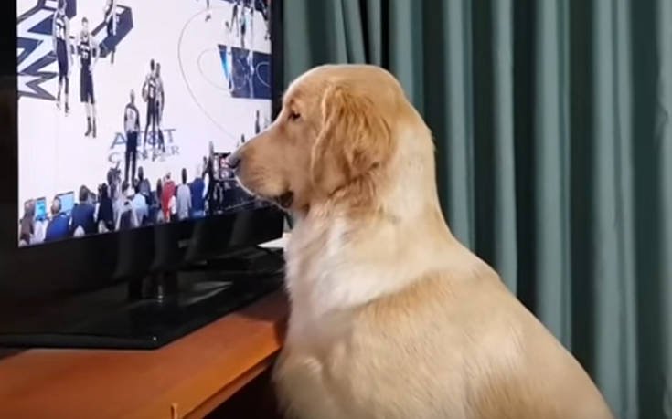 Ο πιο φανατικός σκύλος του NBA (βίντεο)