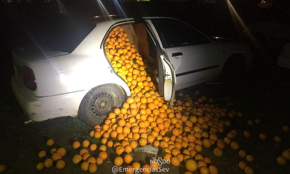 Ισπανία: Έκλεψαν 4 τόνους πορτοκάλια και γέμισαν δύο αυτοκίνητα για να τα μεταφέρουν (φωτό)