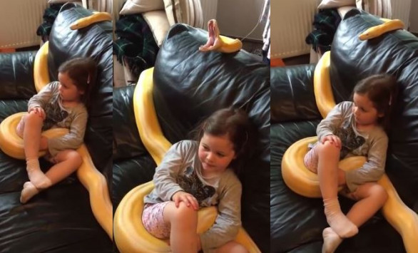 Κοριτσάκι βλέπει τηλεόραση αγκαλιά με το κατοικίδιό της, το…φίδι! (βίντεο)