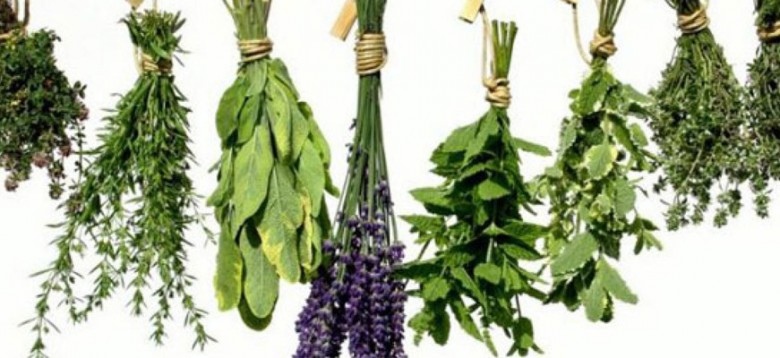 Αυτά είναι τα βότανα που ανακουφίζουν τον πονοκέφαλο