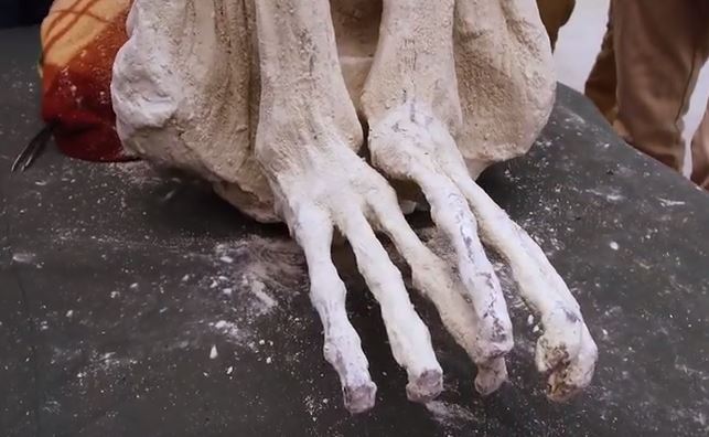 Άνθρωπος ή εξωγήινος; Βρέθηκε «πλάσμα» με τρία δάχτυλα στο Περού! (φωτό, βίντεο)