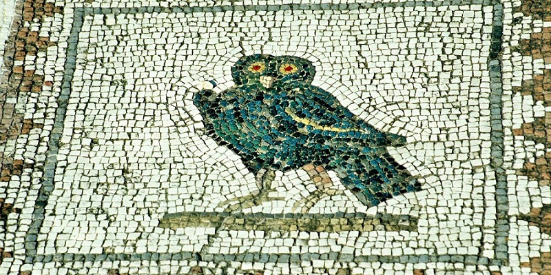 Τα πτηνά ως μεσάζοντες θεών και ανθρώπων στην ελληνική παράδοση: Από την Ιλιάδα ως σήμερα
