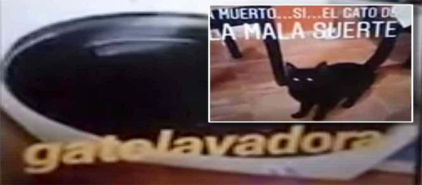 Ισπανία: Έβαλε αδέσποτη γάτα σε πλυντήριο επειδή θέλησε να ζευγαρώσει με τη δική της (βίντεο)