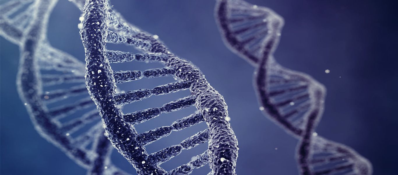 Εντοπίστηκαν 20 γονίδια που ύποπτα για… παρεκτροπή στις ερωτικές «προτιμήσεις» των ανδρών