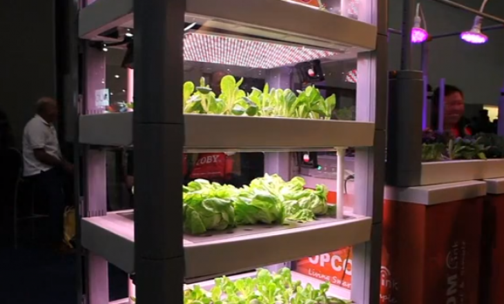 Και όμως αληθινό: Καλλιέργεια λαχανικών μέσω κινητού τηλεφώνου (βίντεο)