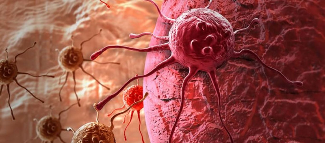 Πώς τα καρκινικά κύτταρα “χτυπούν” τα υγιή και δημιουργούν τους όγκους (βίντεο)