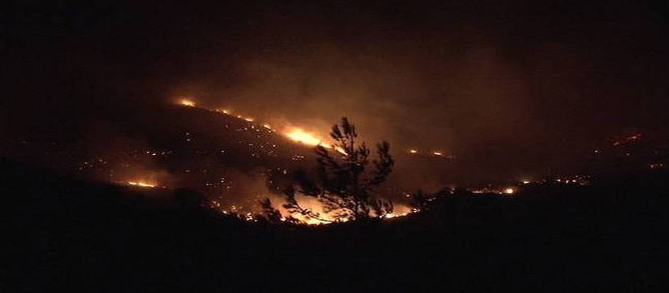 Κρήτη: Ο εφιάλτης με τις… φλόγες – Κάηκαν 30.000 στέμματα μέσα σε 2 χρόνια