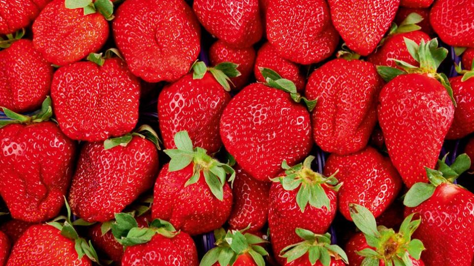 ΗΠΑ: Σε μια μόνο φράουλα ανιχνεύτηκαν 20 δείγματα φυτοφαρμάκου – Ποια φρούτα και λαχανικά είναι «καθαρά»
