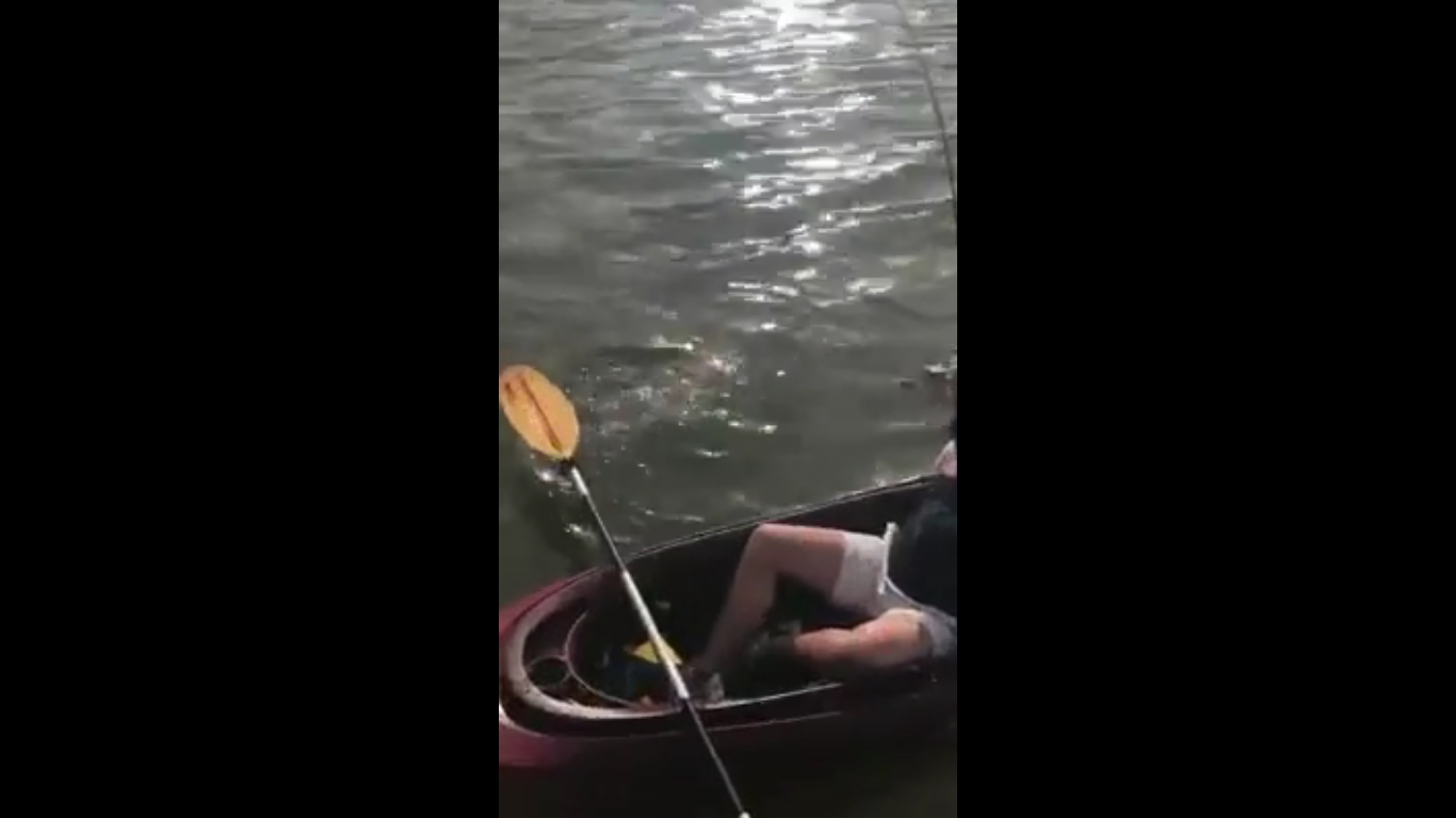 Ψαράς παθαίνει σοκ με αυτό το… πράγμα που έβγαλε με το καλάμι του (βιντεο)