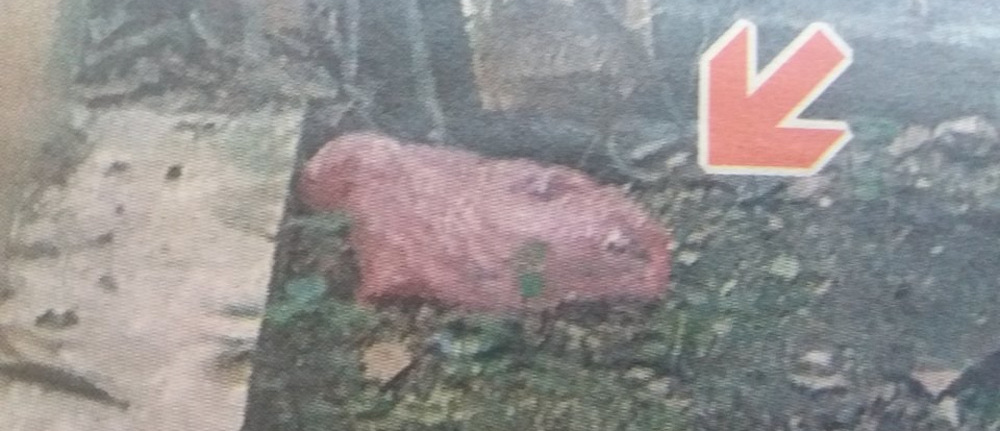 Σοκαριστική φωτογραφία με το νεκρό βρέφος στην Νέα Σμύρνη τυλιγμένο σε σακούλα!
